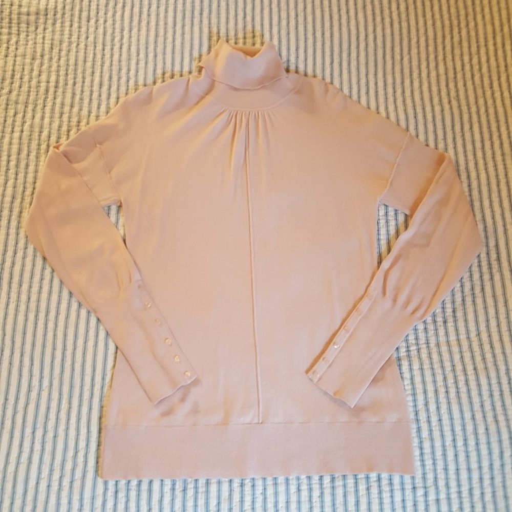 Semantiks Long-Sleeve Turtleneck Sweater